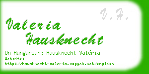 valeria hausknecht business card